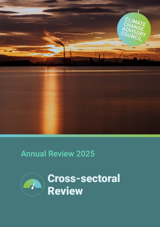 Annual Review 2025 - Cross Sectoral Review